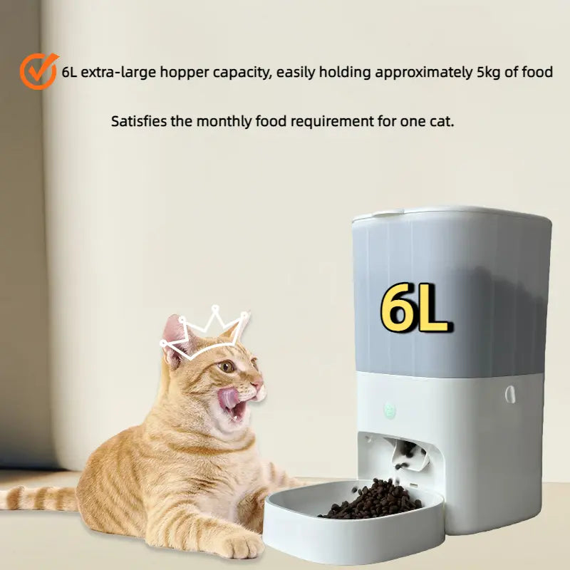 Smart Wifi Pet Feeder with App Control | Programmable for Cats & Dogs